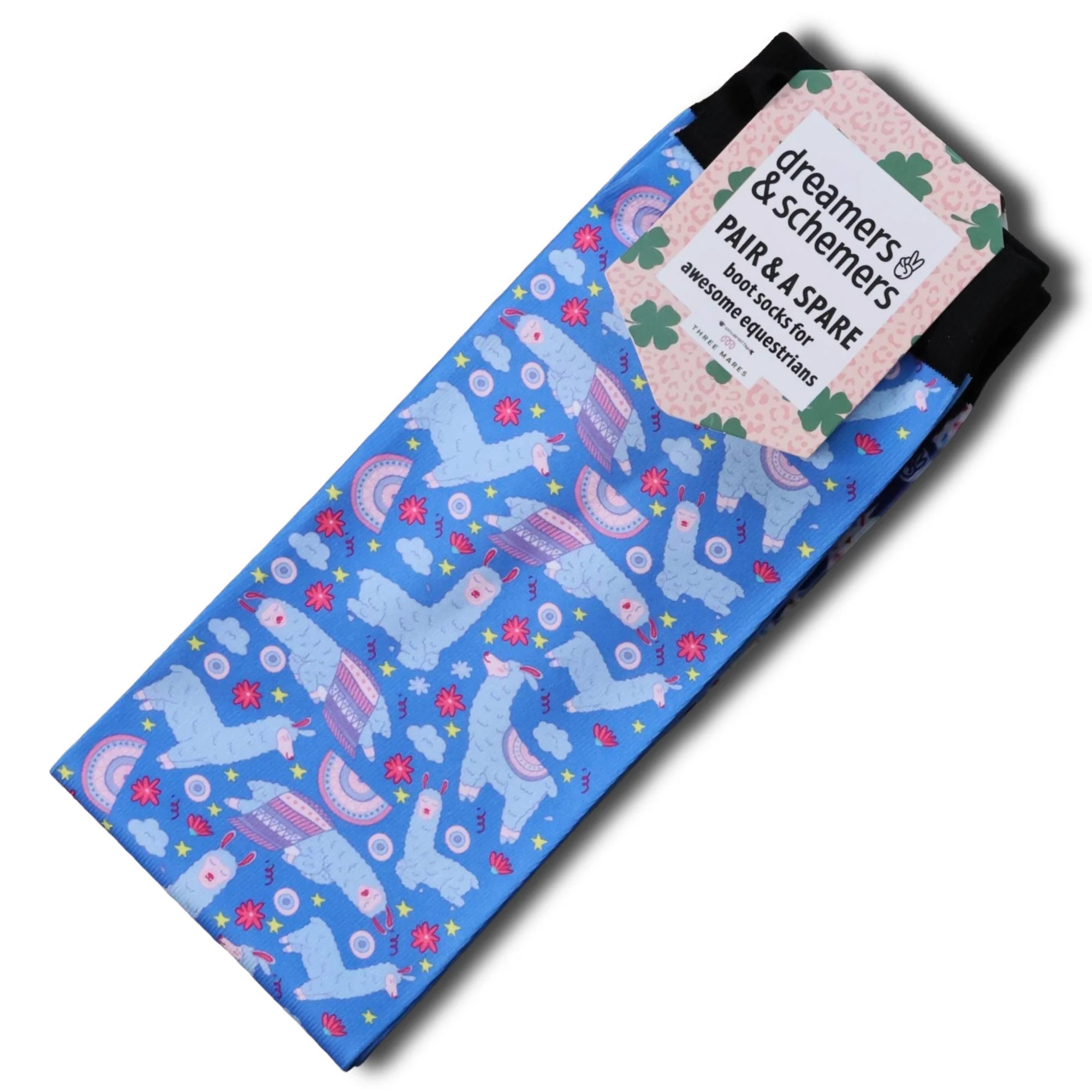 Dreamers & Schemers Pair & A Spare Socks