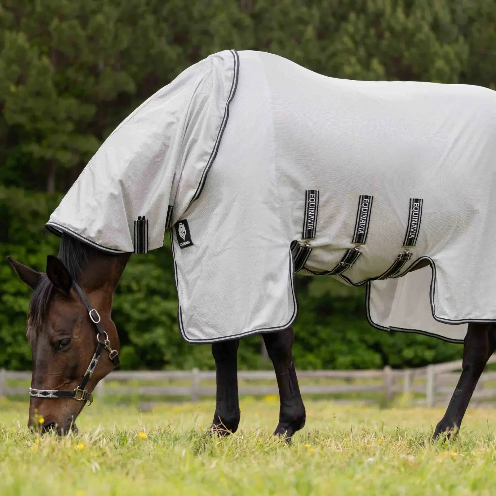 Equinavia Vern Full Protect Fly Sheet