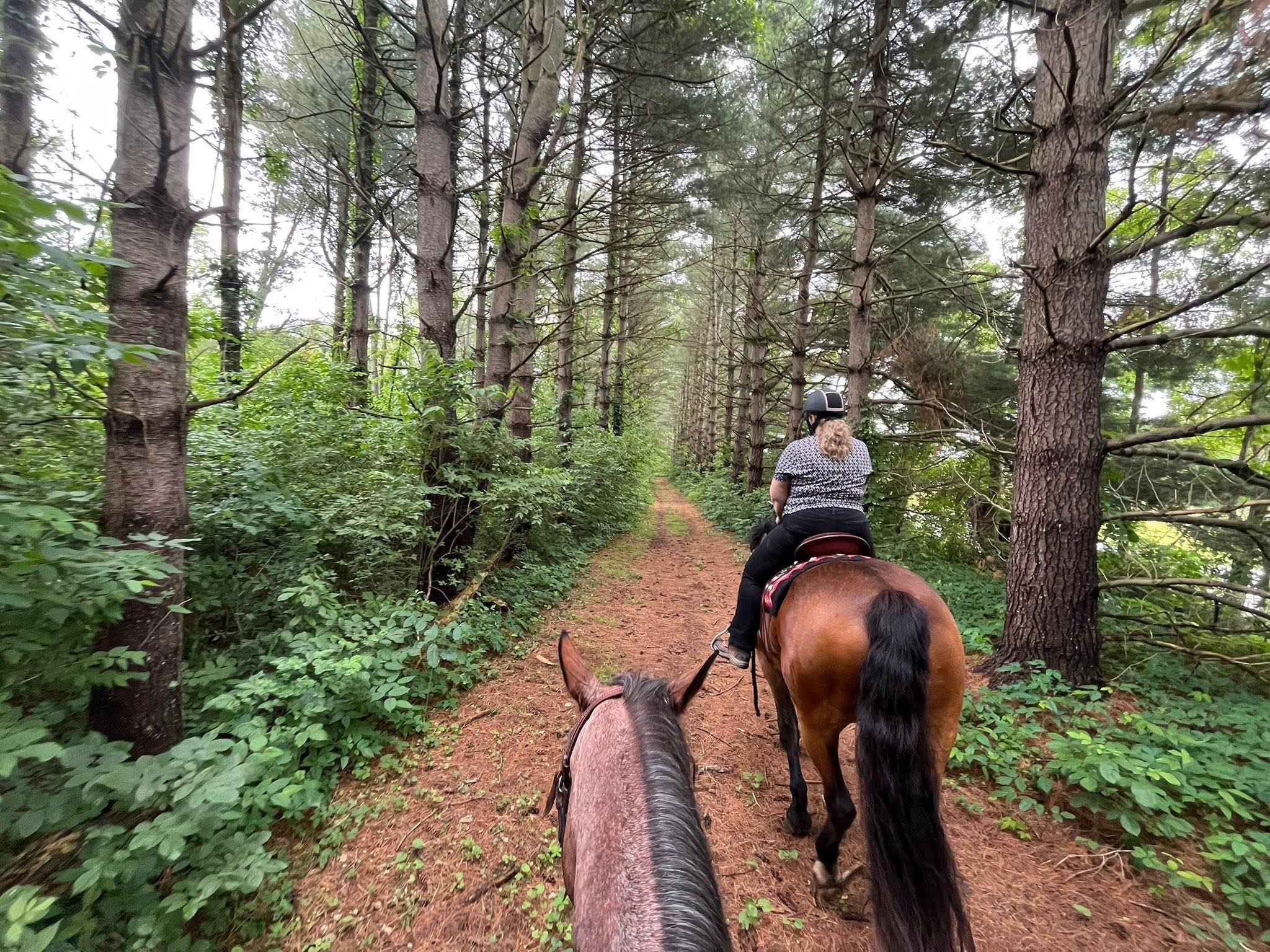 Summer Trail Riding Essentials