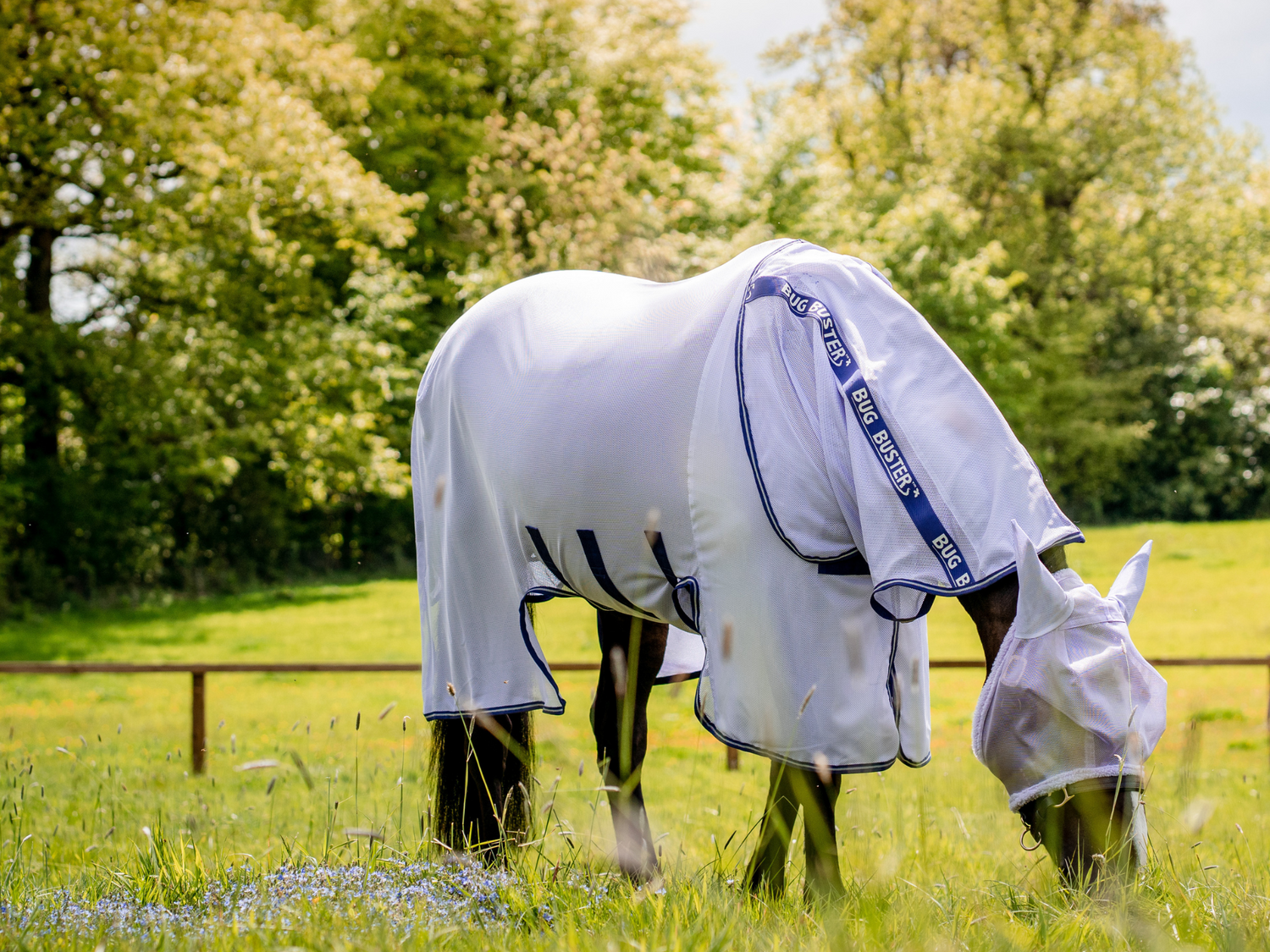 Equus Now!'s Fly Sheet Guide