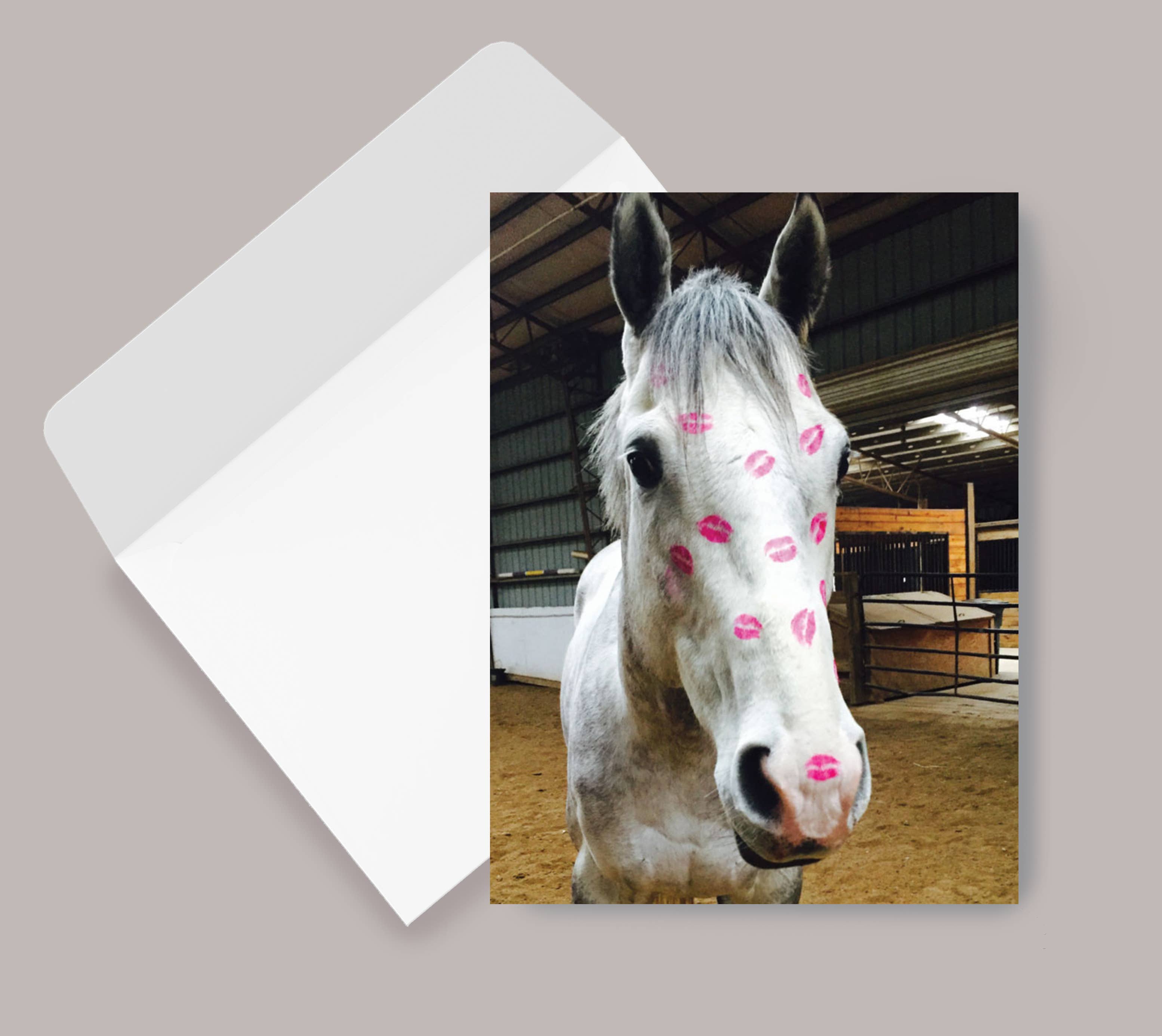 Horse Greeting Birthday Card / Horse Kiss