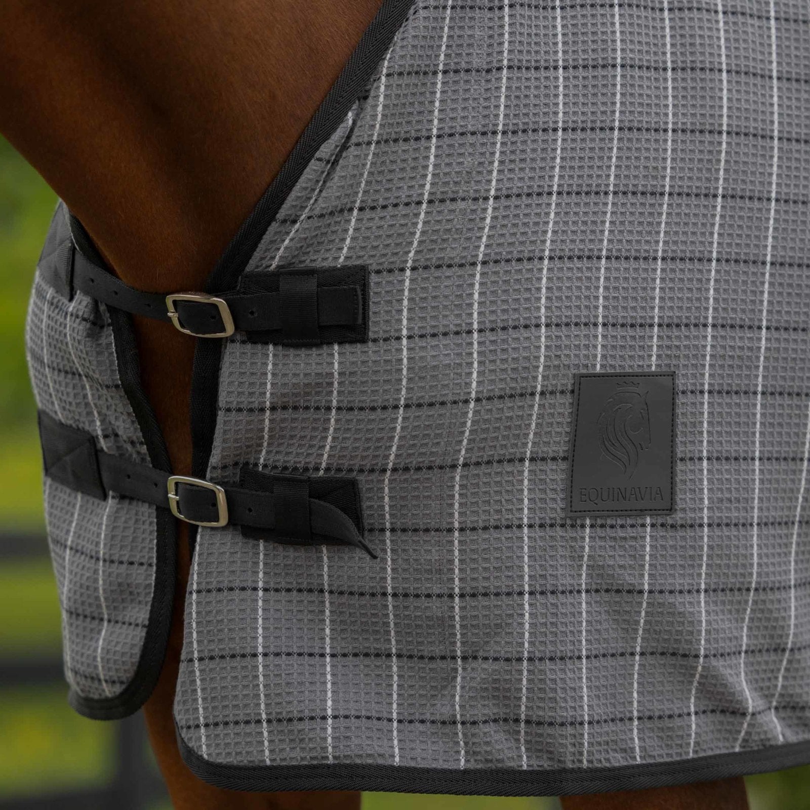 #color_Grey/Black