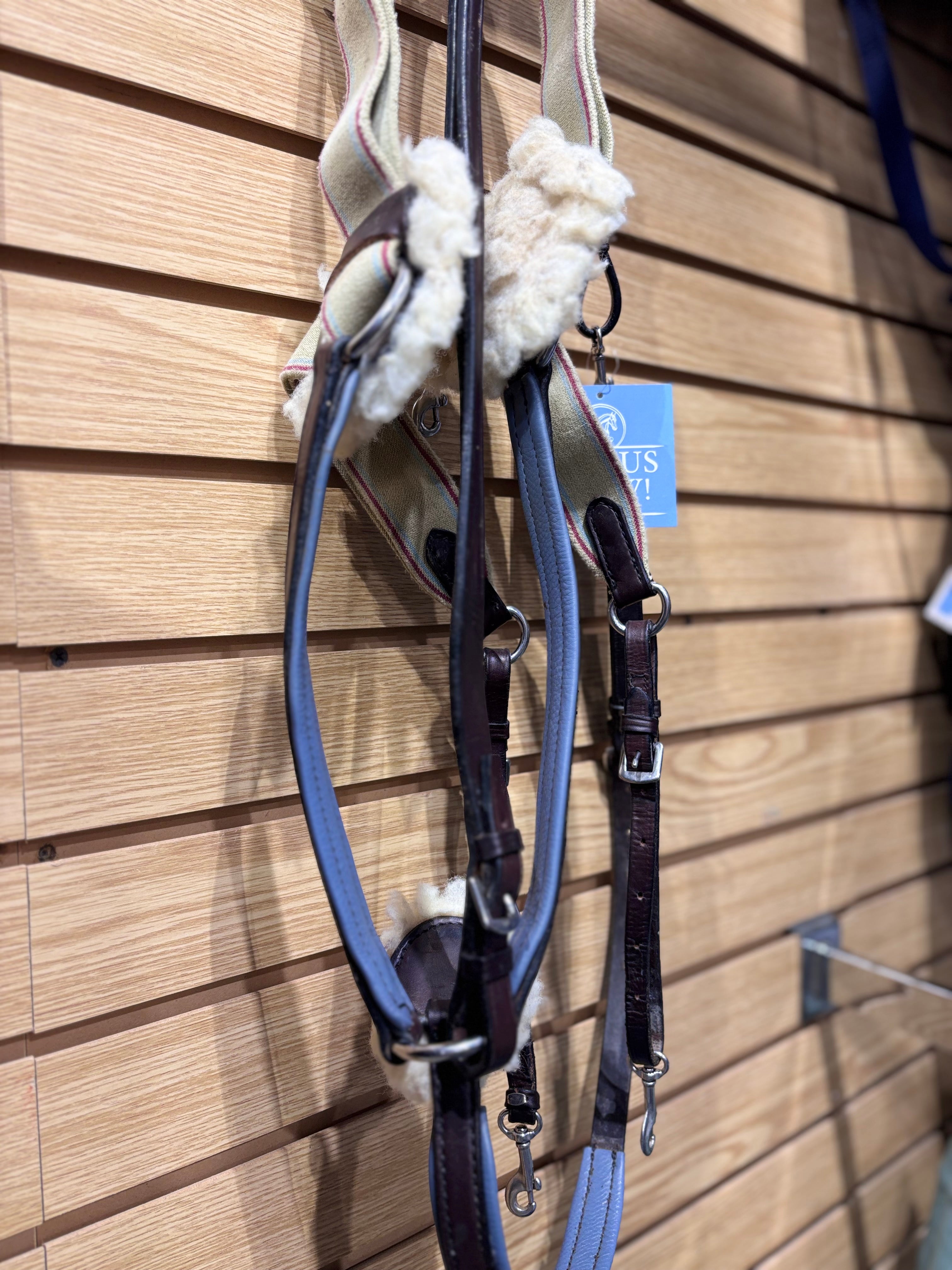 Used Pony Brown/Blue 5 Point Breastplate with Running Attachment