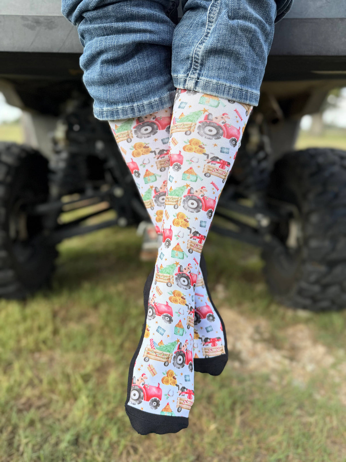 Red Barn Socks - Holiday Haul