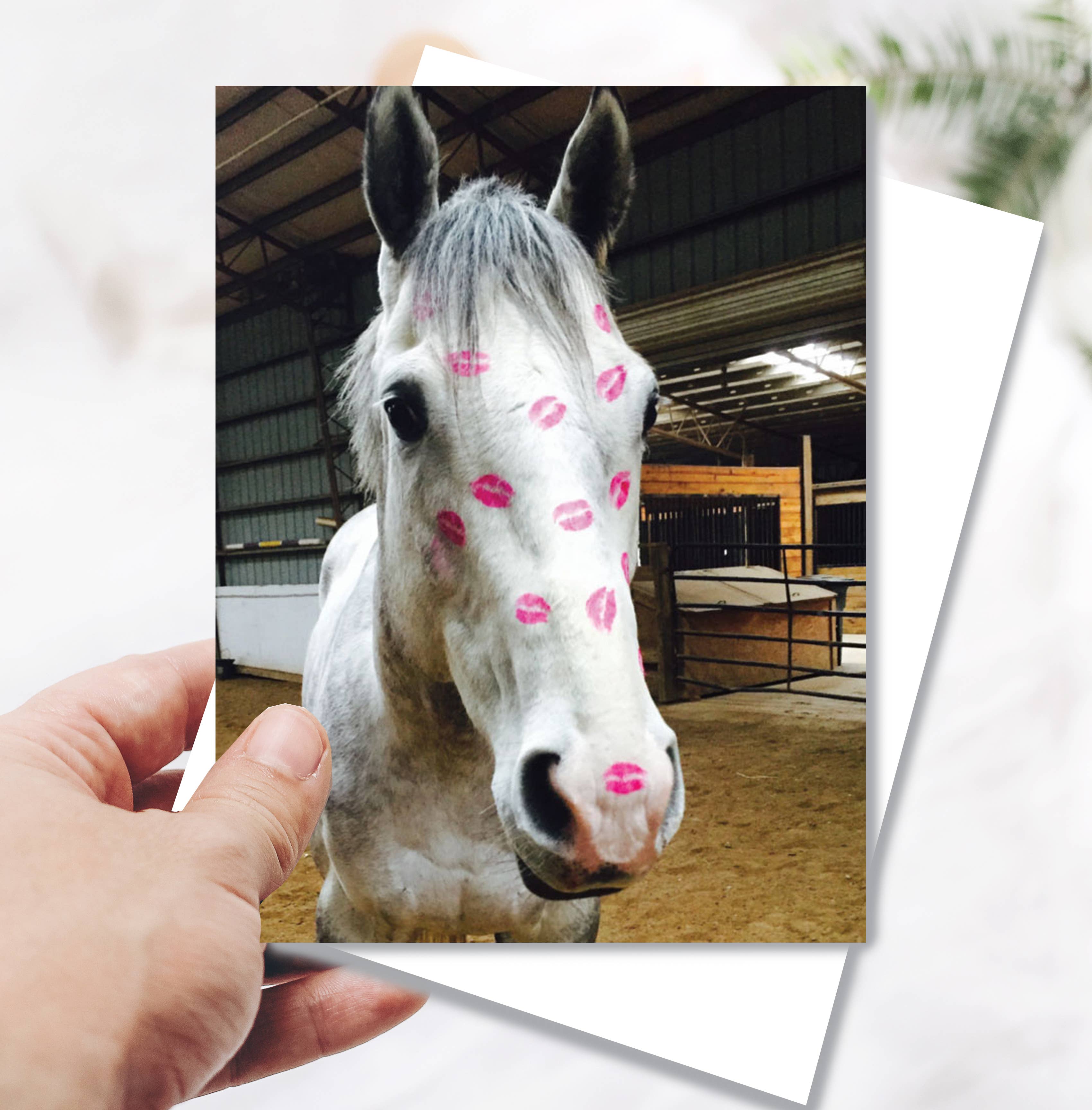 Horse Greeting Birthday Card / Horse Kiss