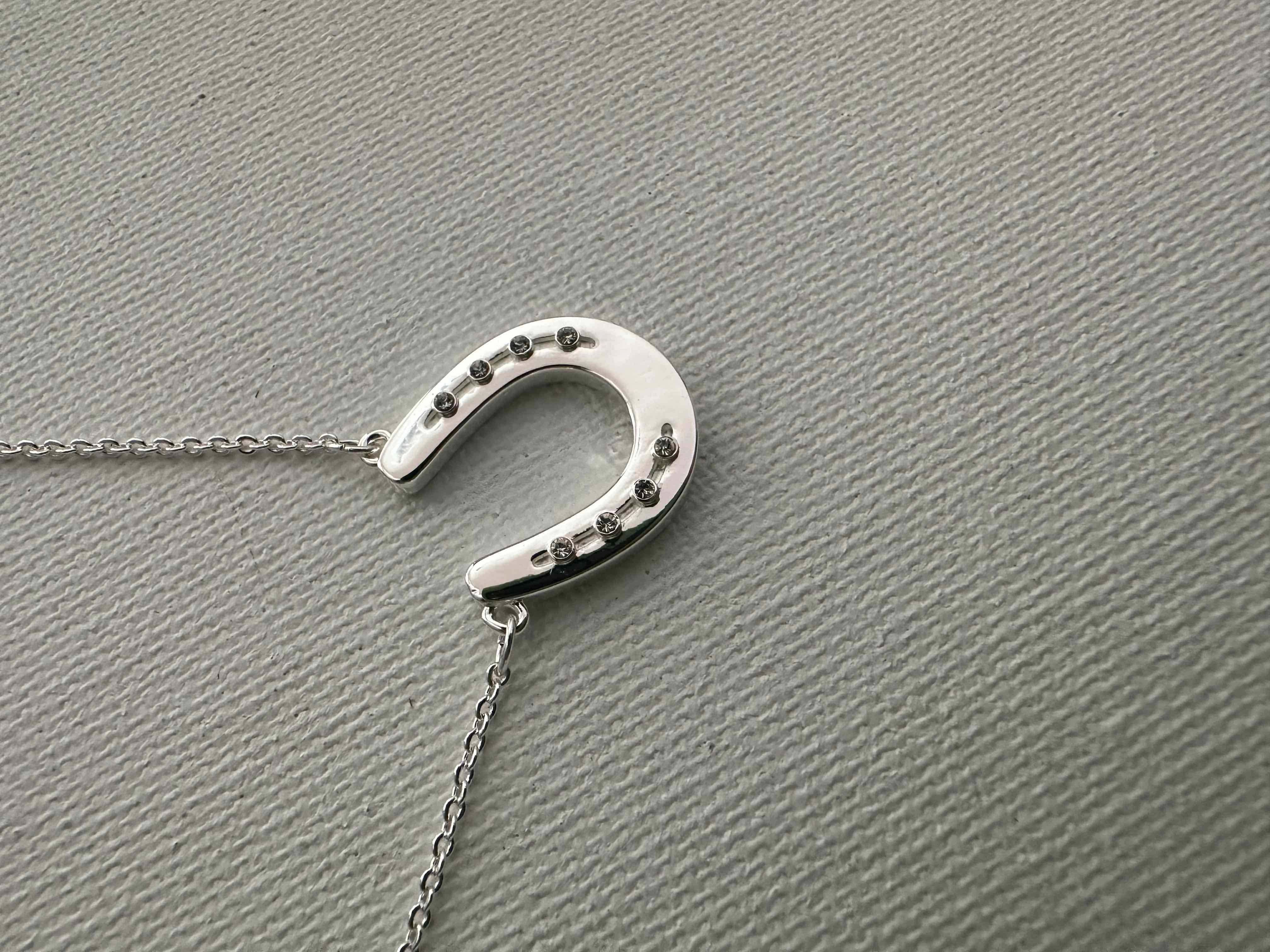 Petite Single Horseshoe Necklace for Arabian Lovers