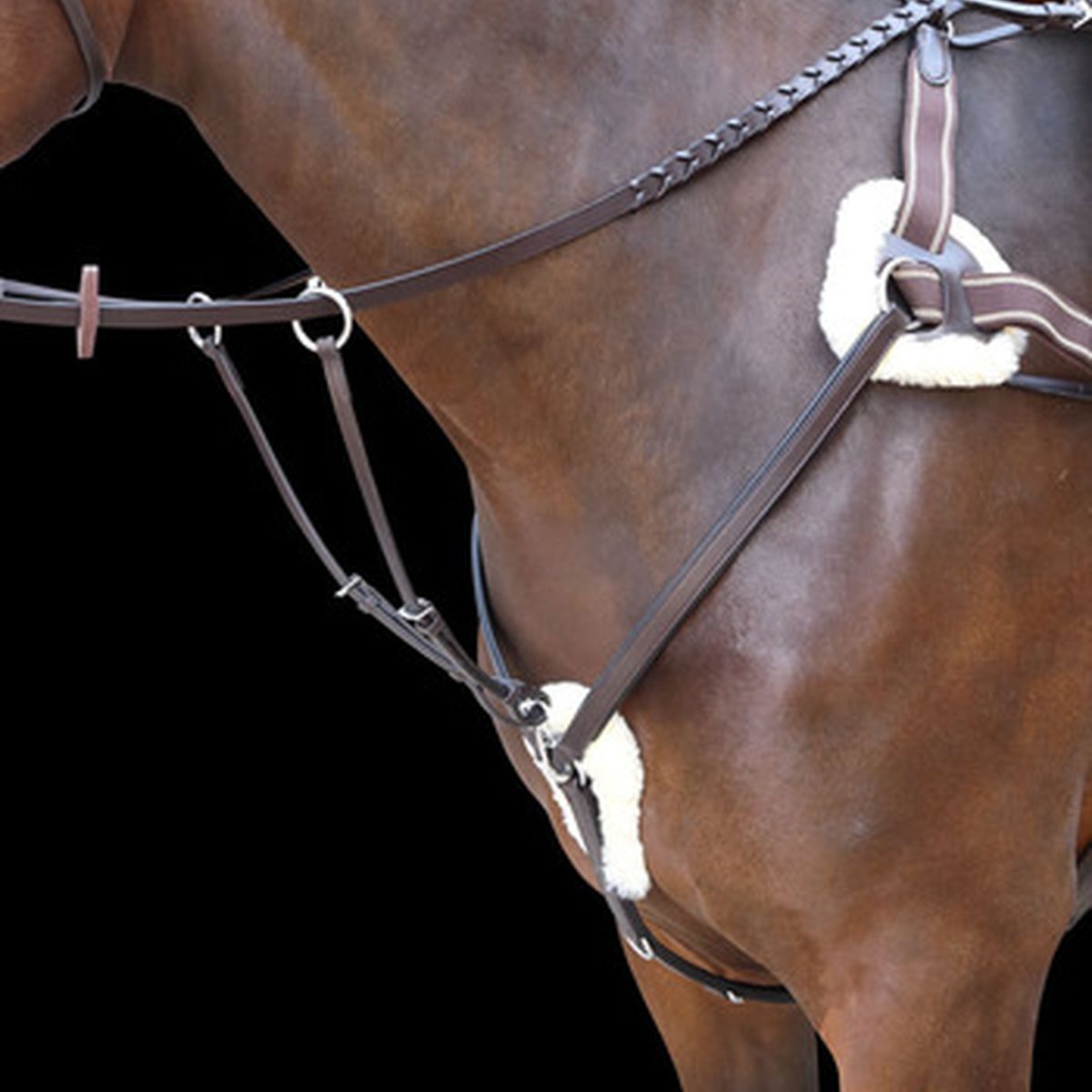 Shires Rossano 5 Point Leather Breastplate - Havana