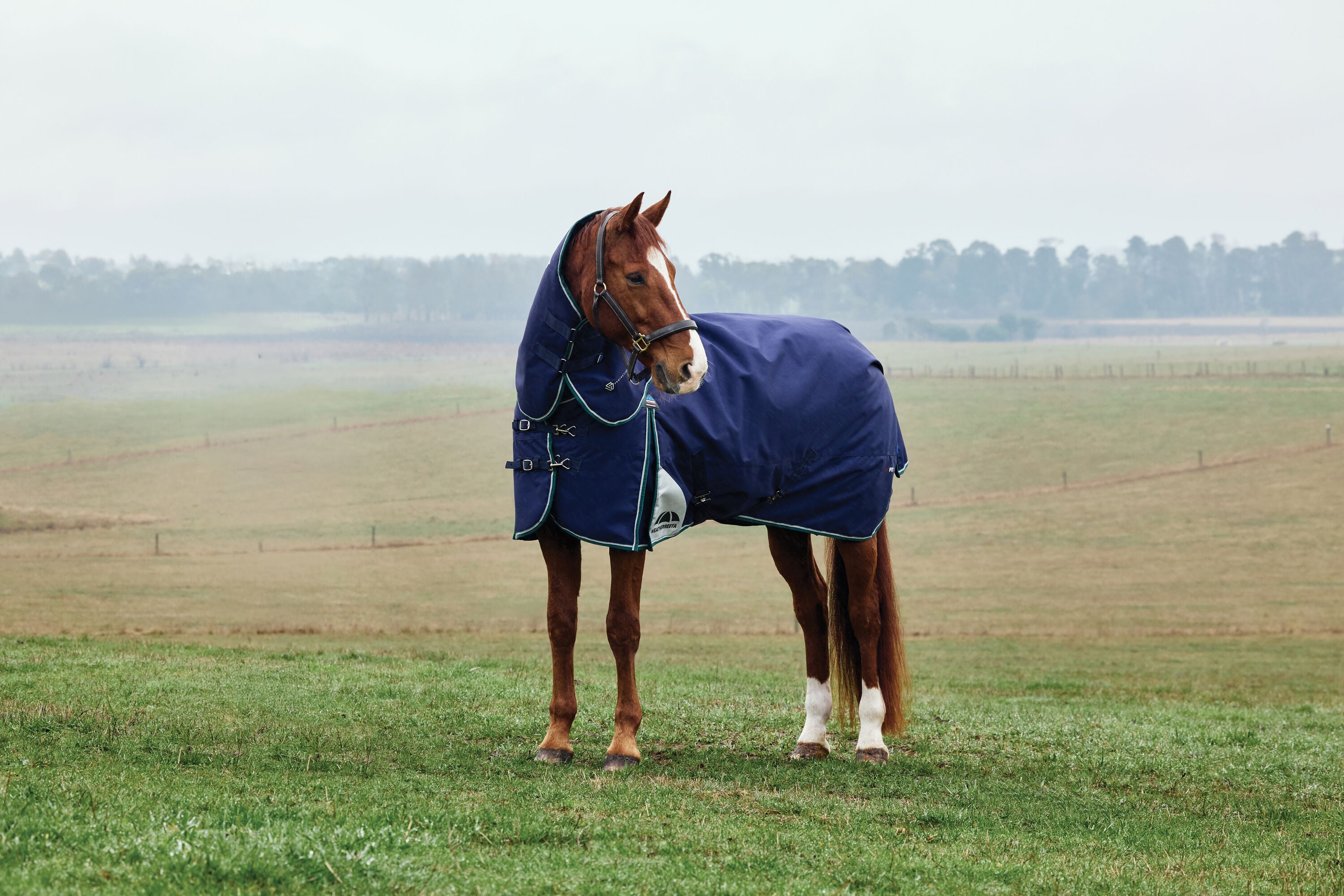 Weatherbeeta Comfitec Plus Dynamic Turnout Detach-A-Neck 360G