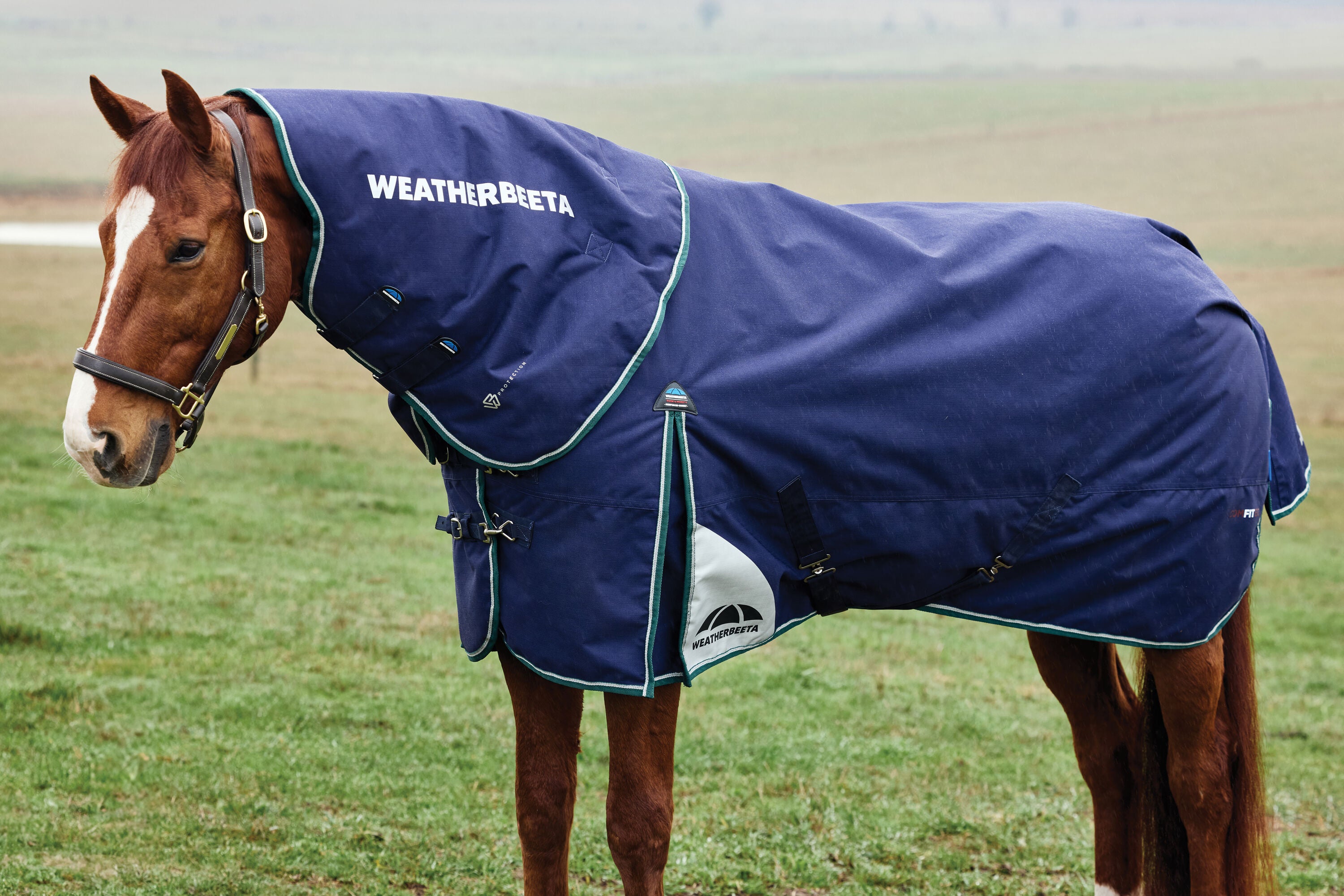 Weatherbeeta Comfitec Plus Dynamic Turnout Detach-A-Neck 0G