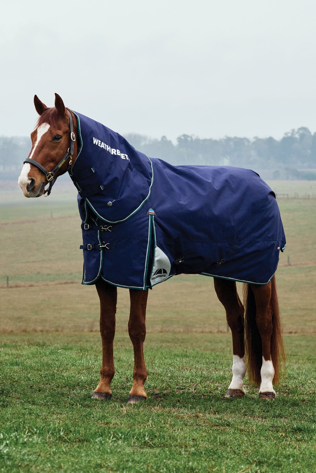 Weatherbeeta Comfitec Plus Dynamic Turnout Detach-A-Neck 0G