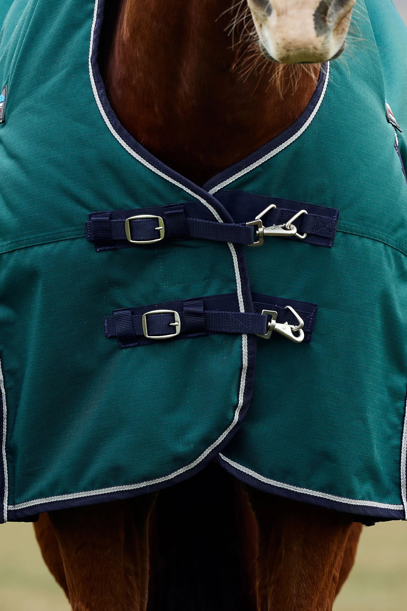 #color_Forest Green/Navy