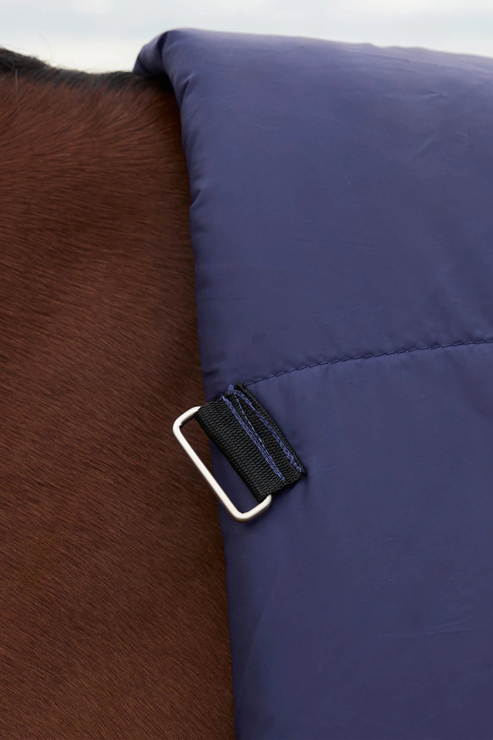#color_Navy/Forest Green