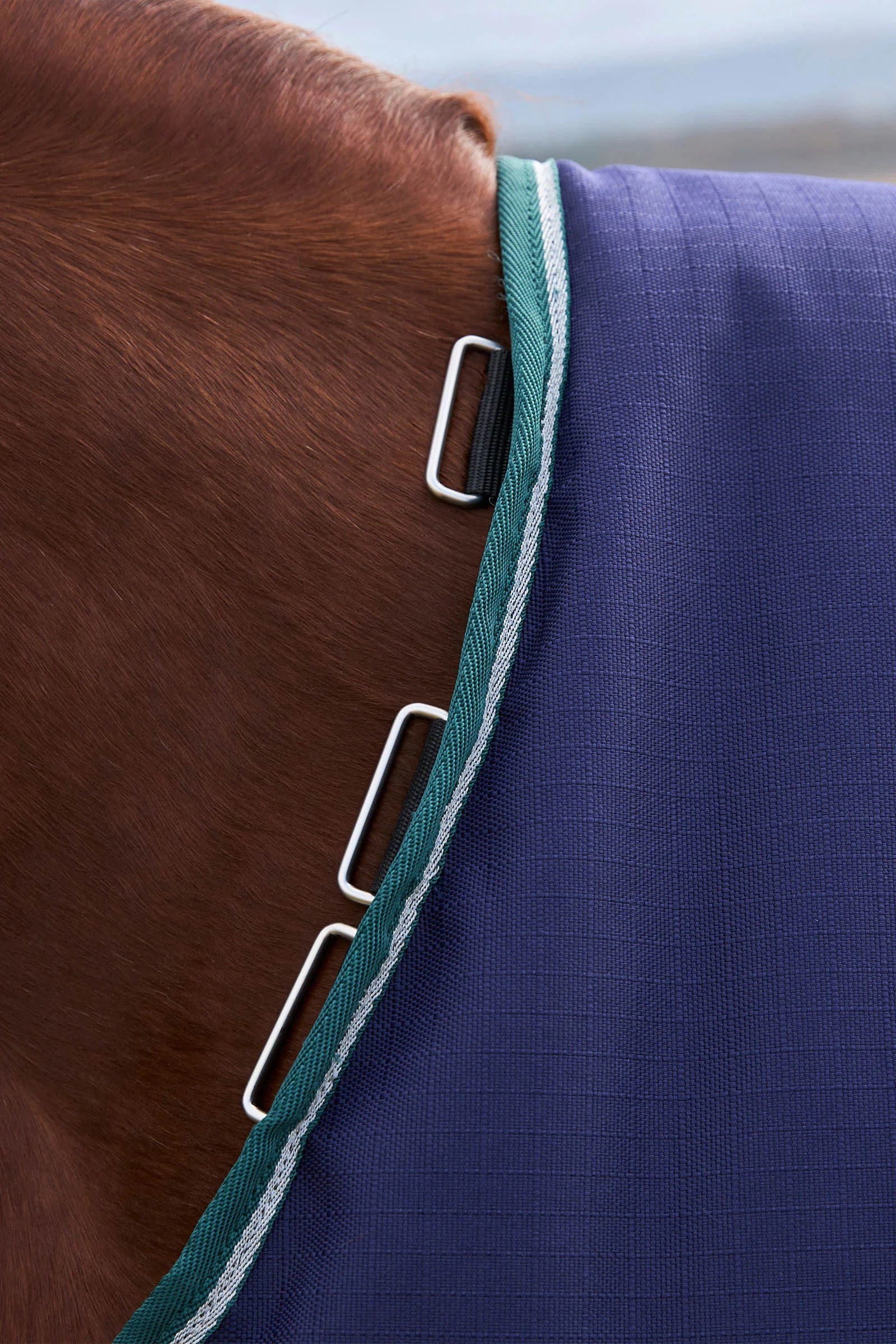 #color_Navy/Forest Green