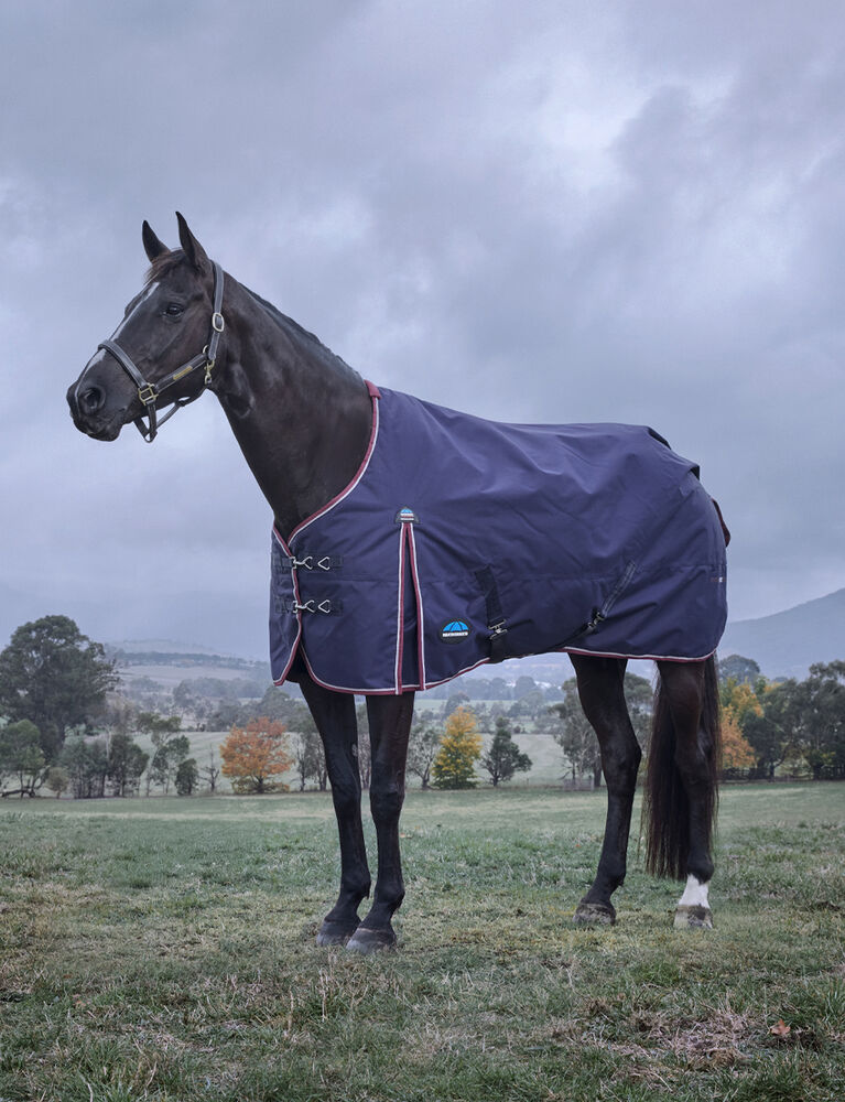 Weatherbeeta Comfitec Essential Turnout 220G