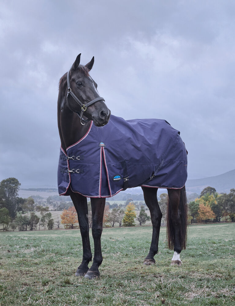 Weatherbeeta Comfitec Essential Turnout 220G