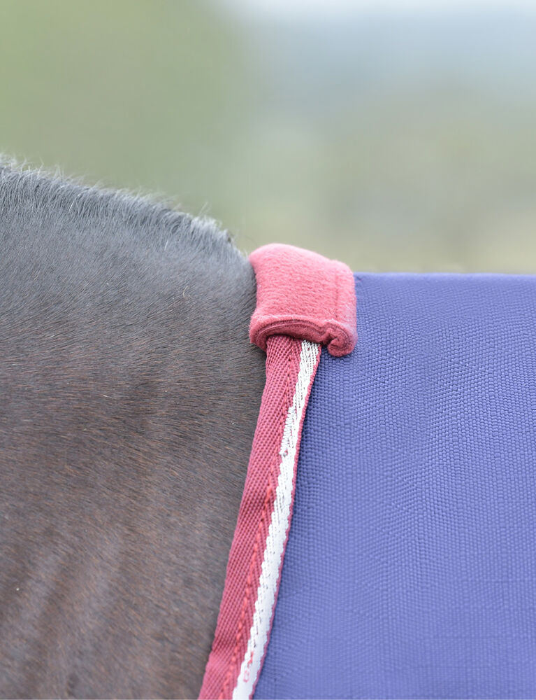 Weatherbeeta Comfitec Essential Turnout 220G
