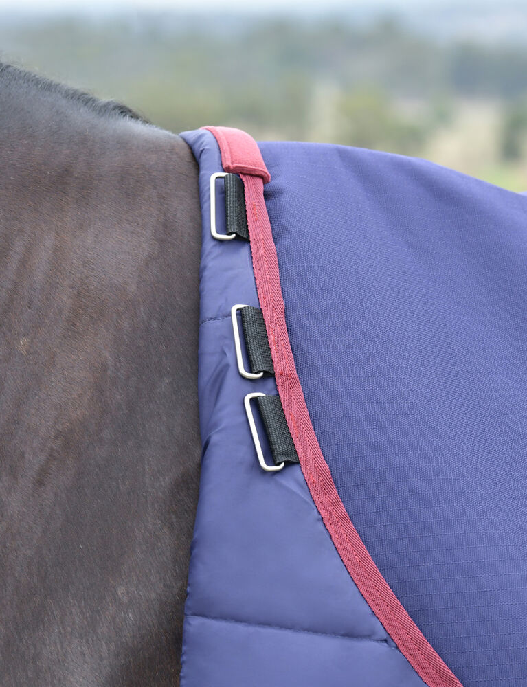 Weatherbeeta Comfitec Essential Turnout 220G
