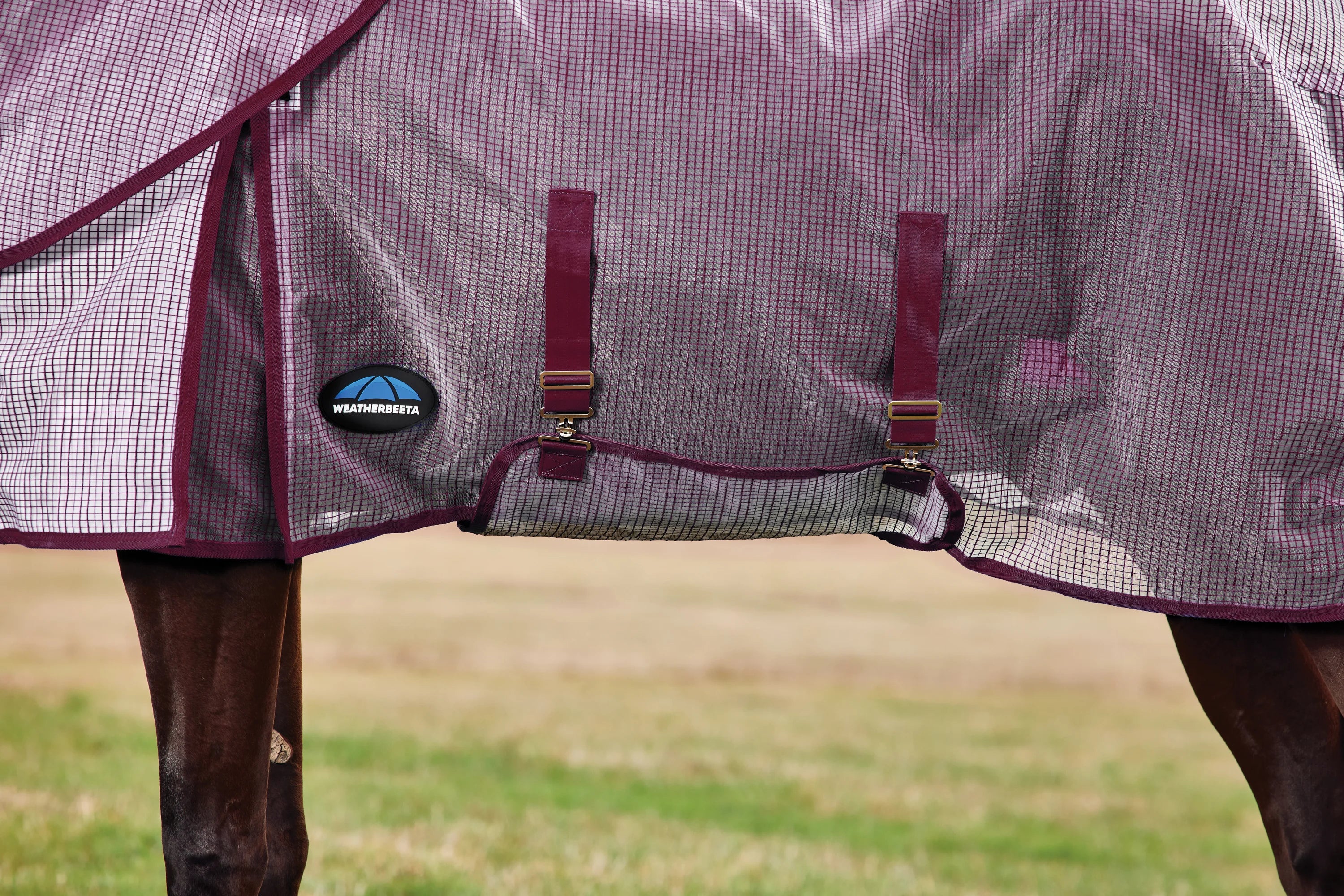 #color_white/burgundy