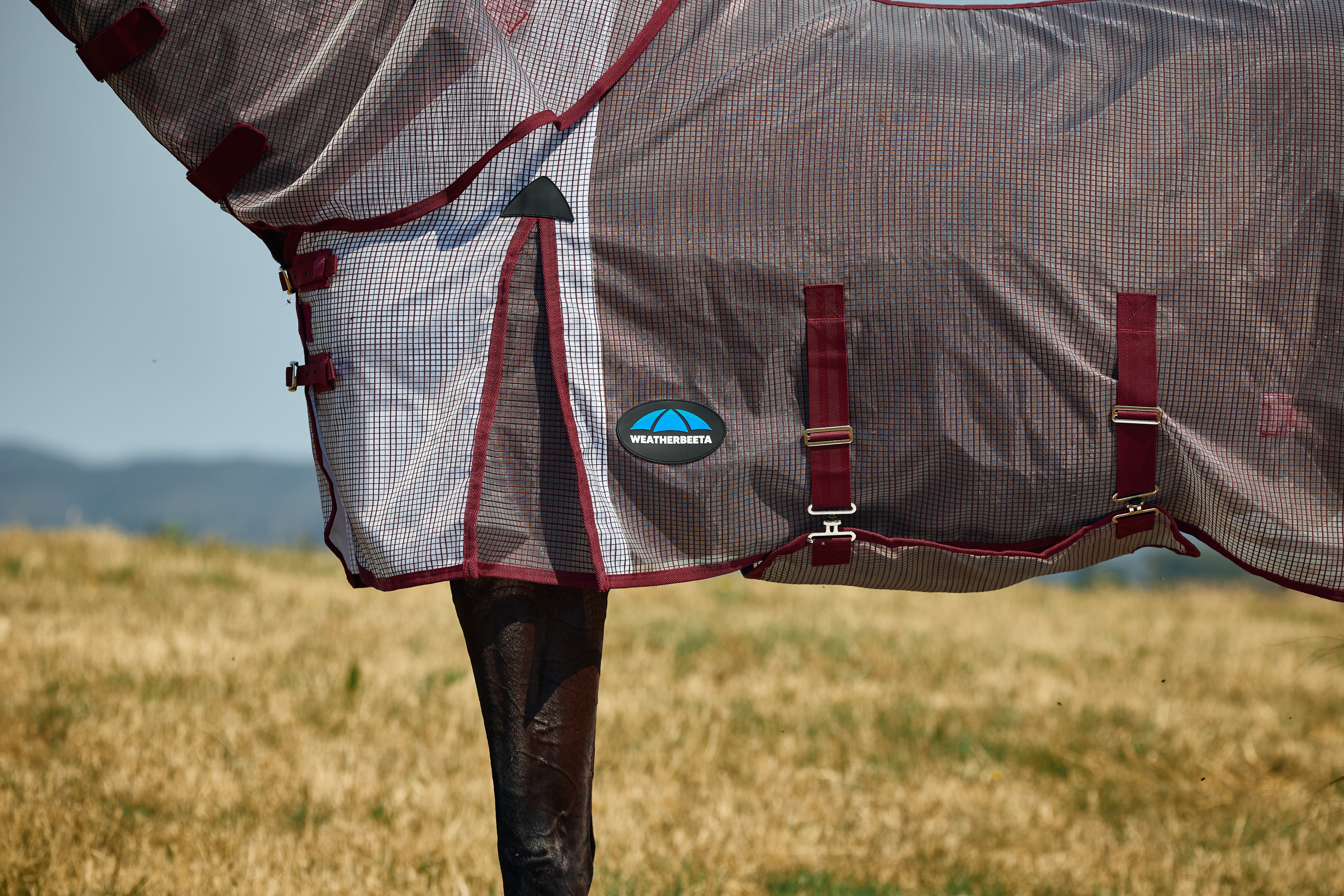 #color_white/burgundy