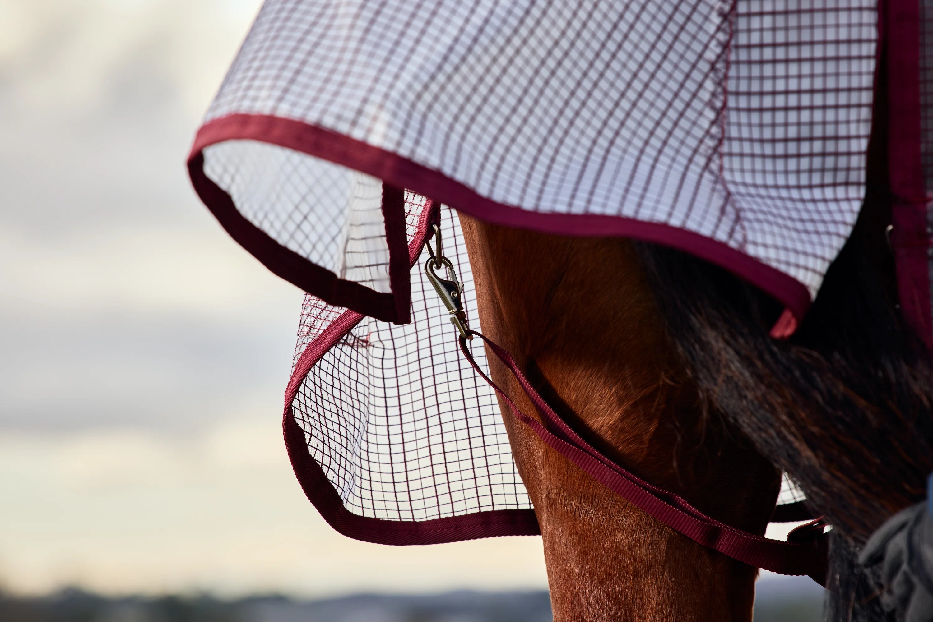 #color_white/burgundy