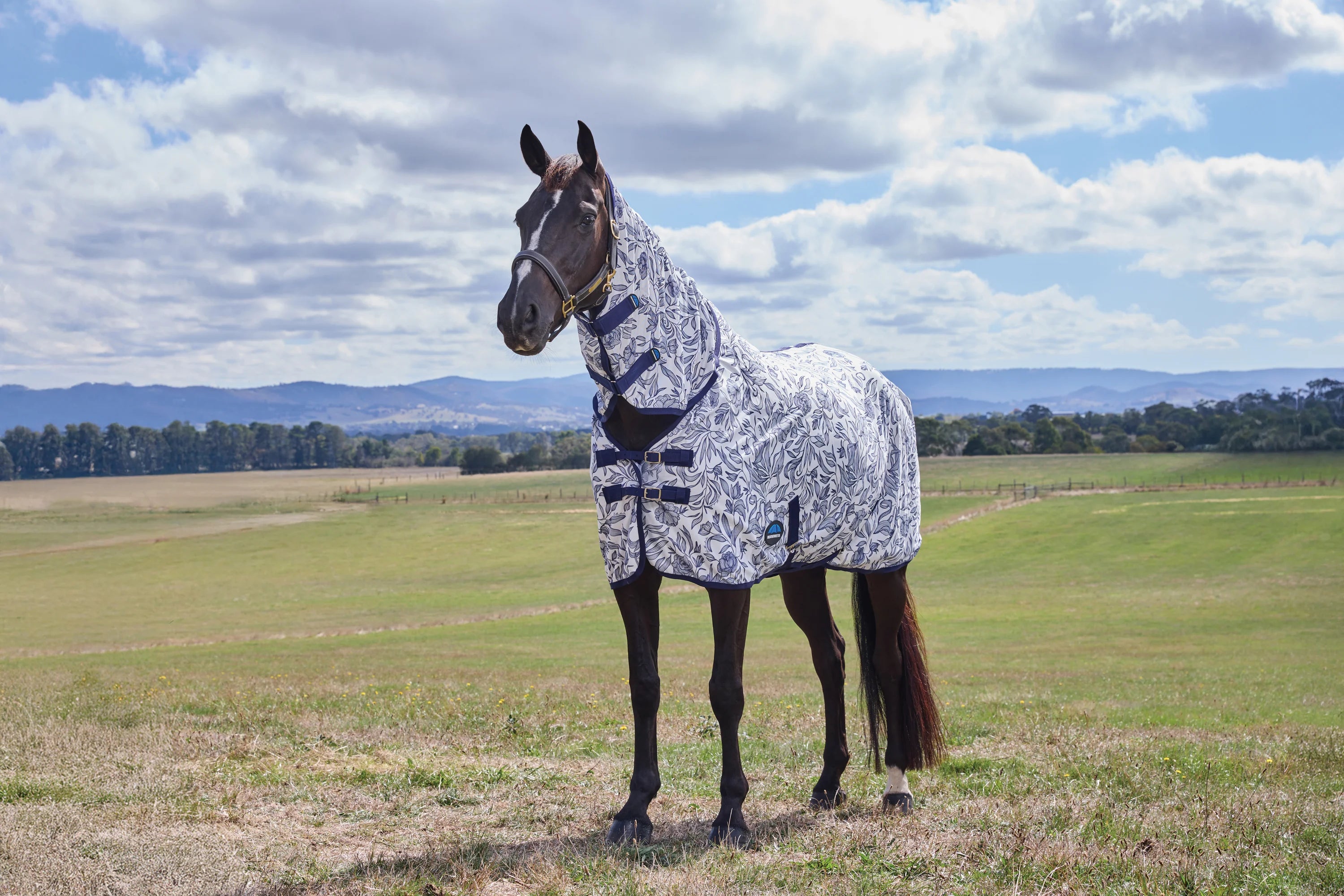 Weatherbeeta Comfitec Limited Edition Fly Sheet Combo