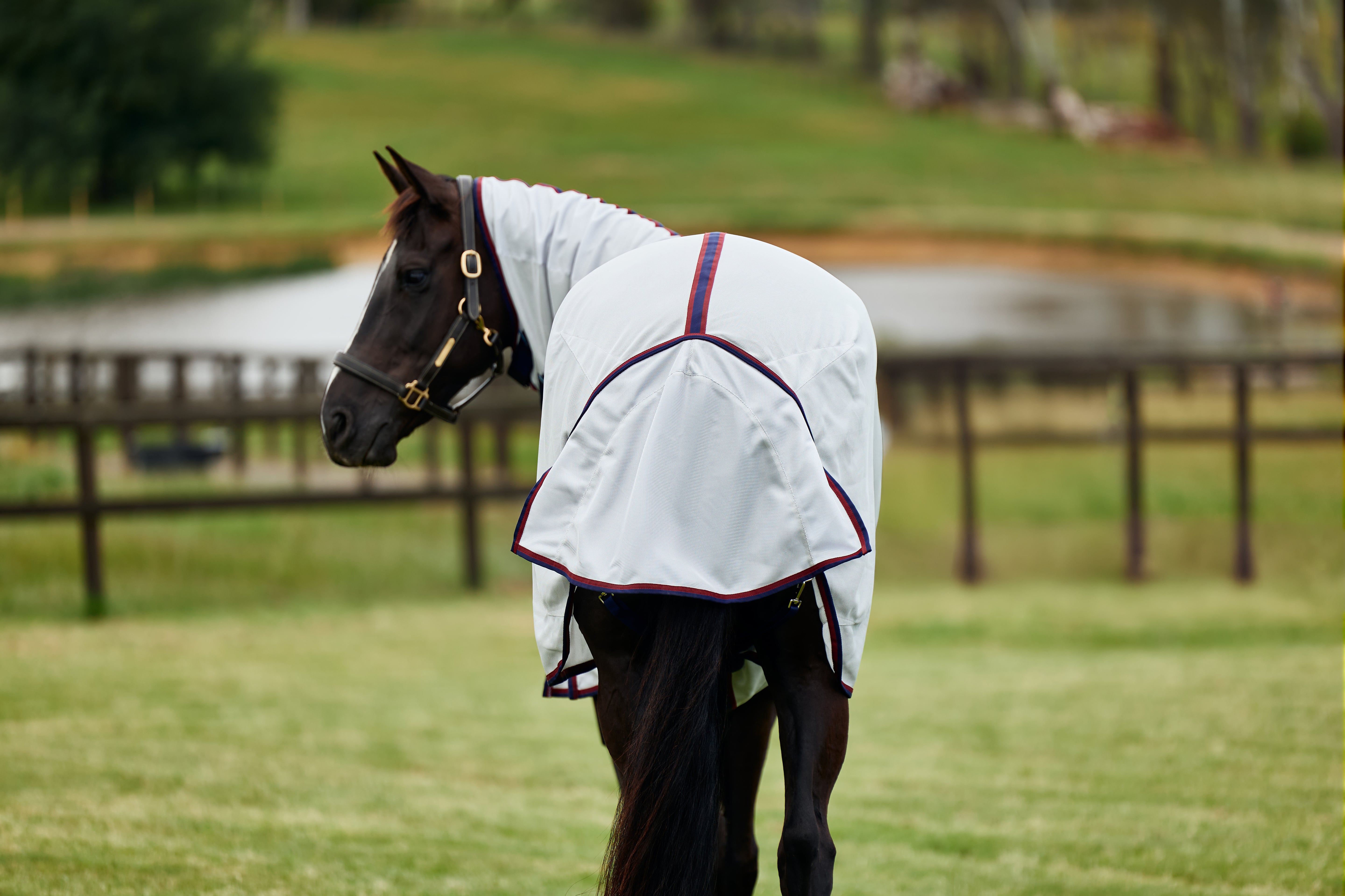 Weatherbeeta Comfitec Airflow Fly Sheet Detach-A-Neck