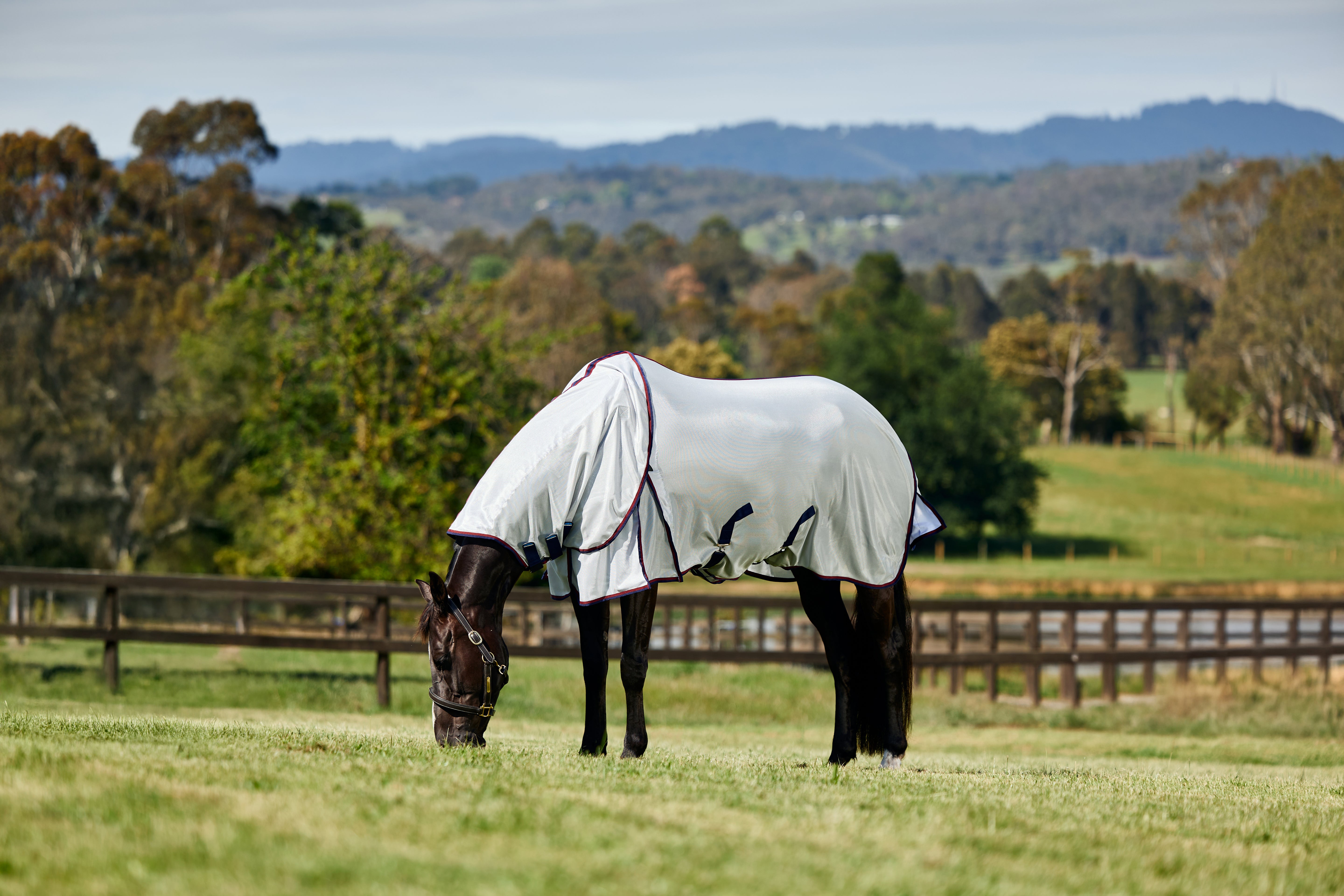 Weatherbeeta Comfitec Airflow Fly Sheet Detach-A-Neck