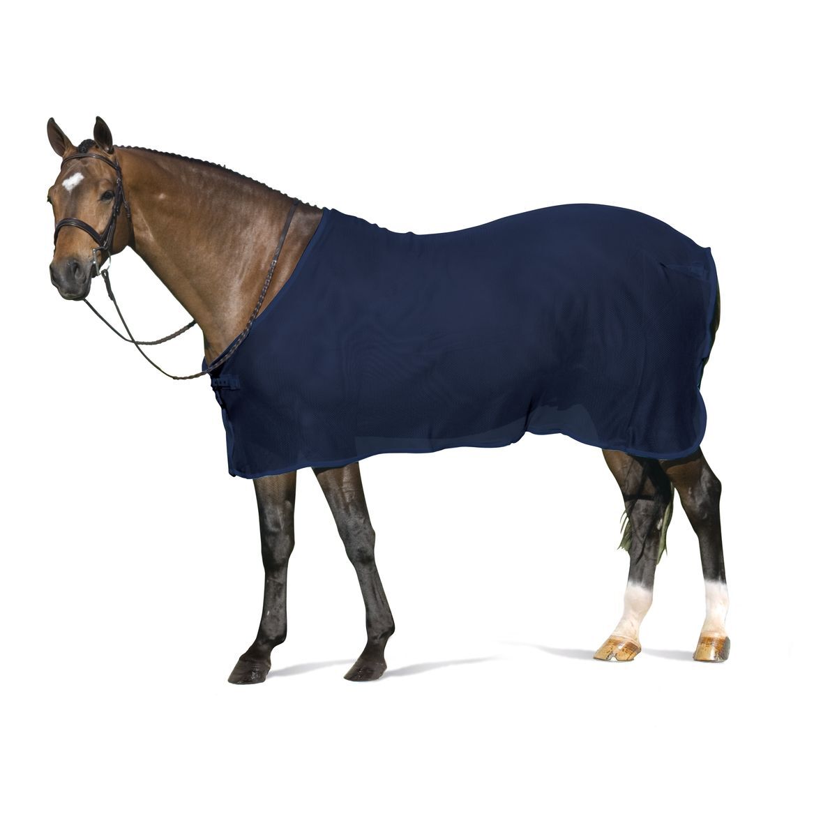 Centaur Show Scrim - Navy