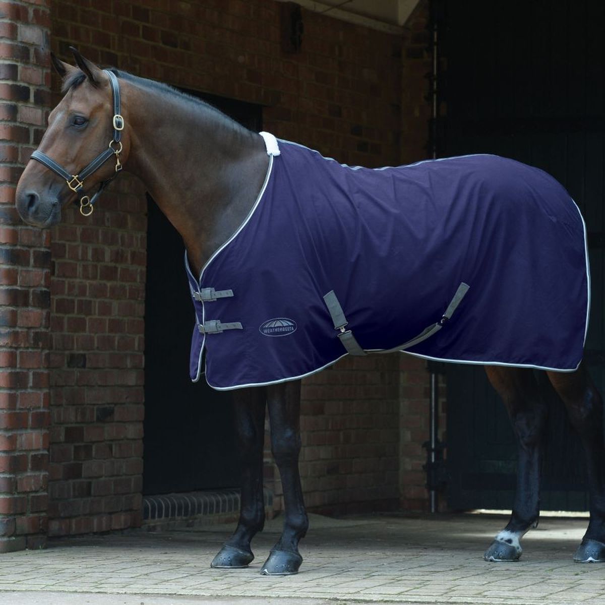 Weatherbeeta Cotton Stable Show Sheet - Dark Blue/Grey/White