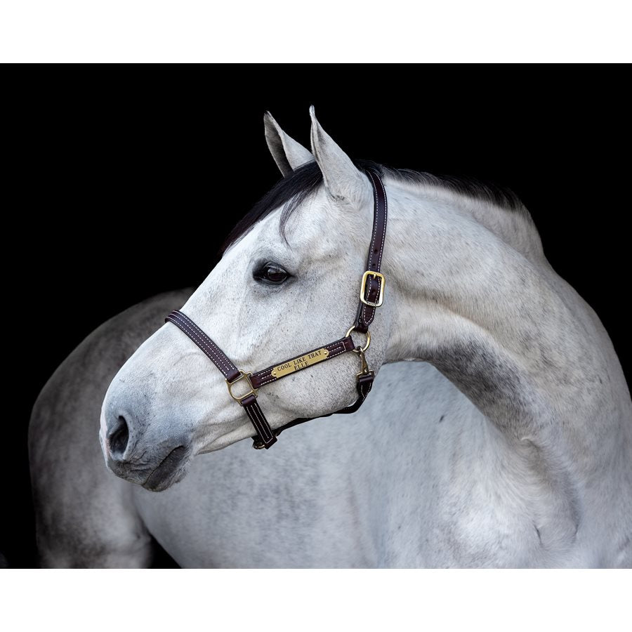 Perri's Professional Halter with Nameplate