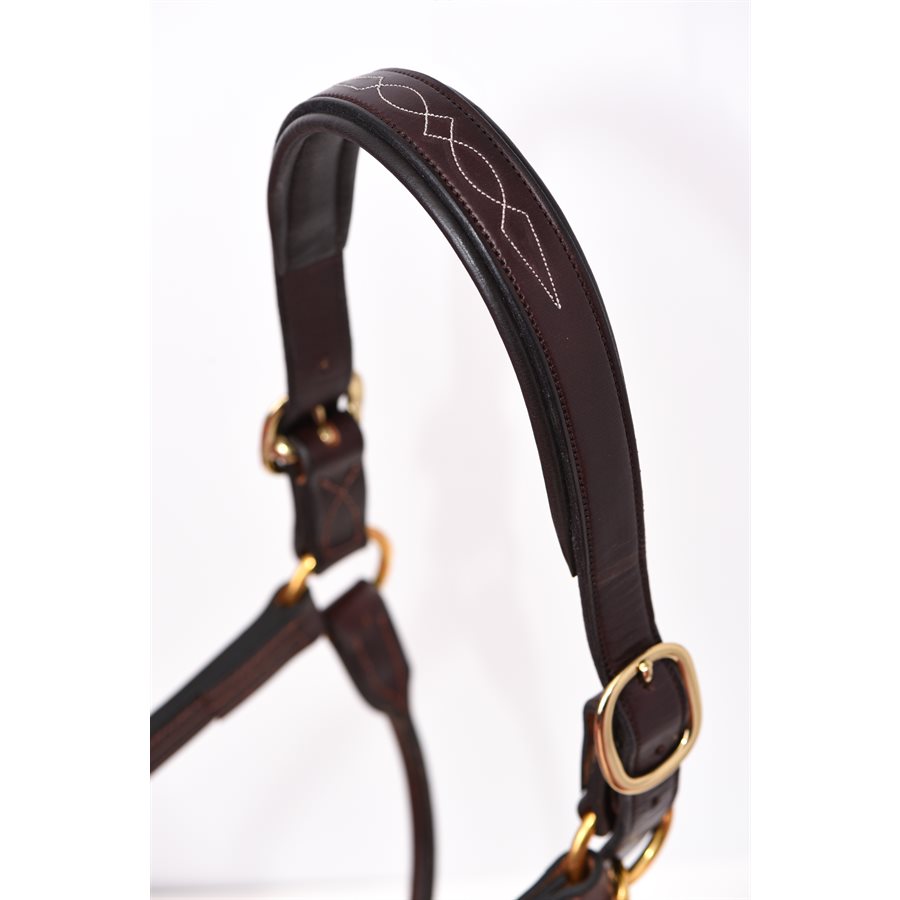 Perri's Fancy Stitched Leather Halter with Nameplate
