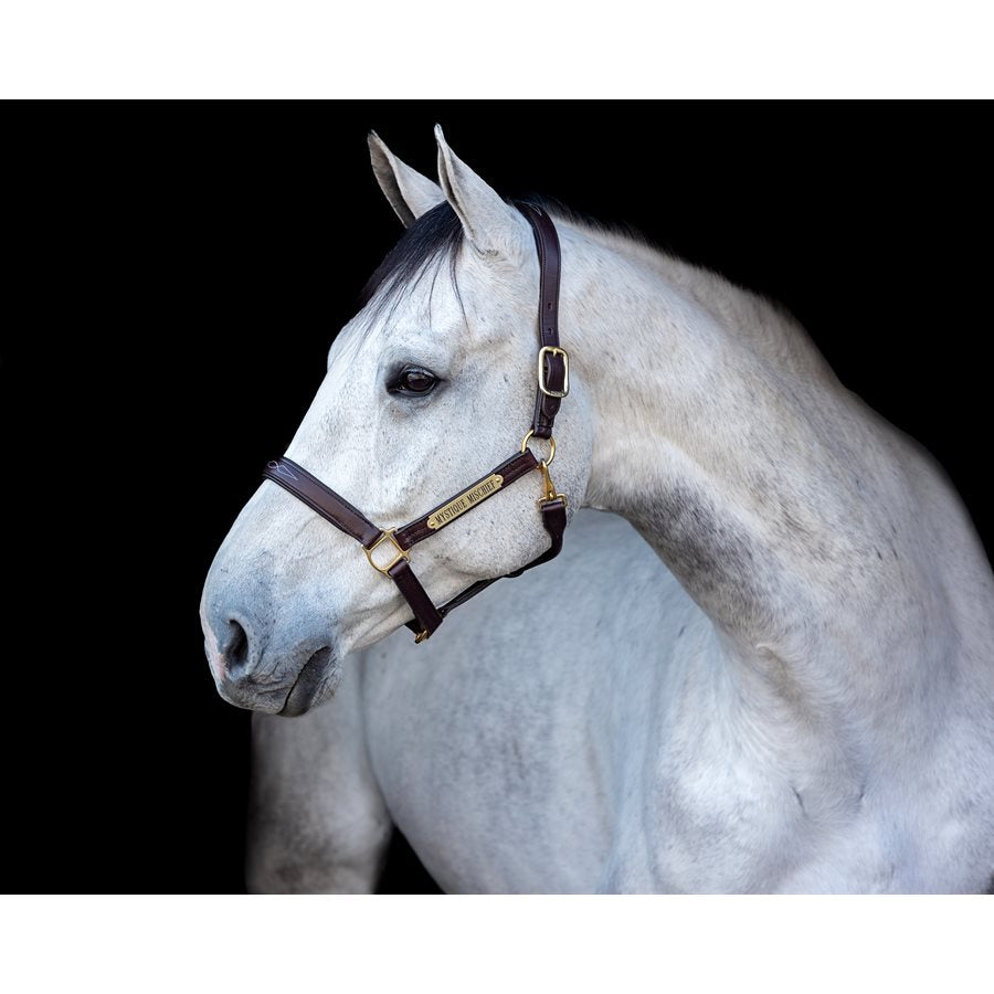 Perri's Fancy Stitched Leather Halter with Nameplate
