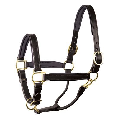 Perri's Padded Leather Halter - Black/Black with Brass