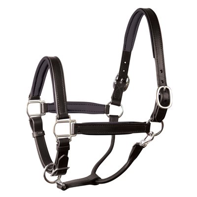 Perri's Padded Leather Halter - Black/Black with Chrome