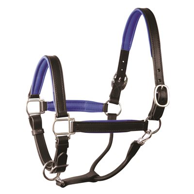 Perri's Padded Leather Halter - Black/Blue