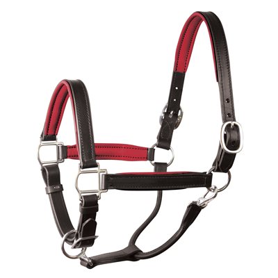 Perri's Padded Leather Halter - Black/Red