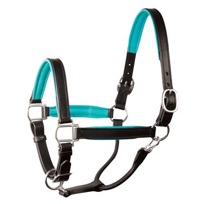 Perri's Padded Leather Halter - Black/Turquoise