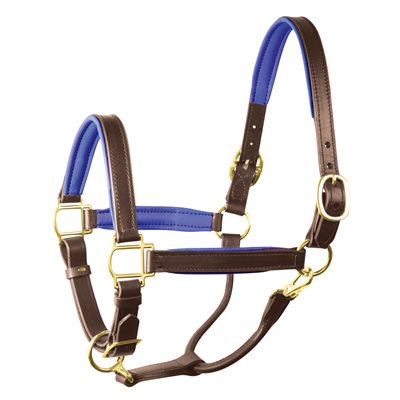 Perri's Padded Leather Halter - Havana/Blue