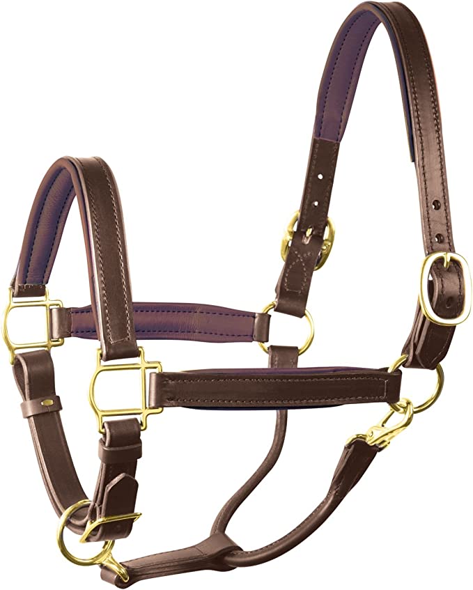 Perri's Padded Leather Halter - Havana/Havana