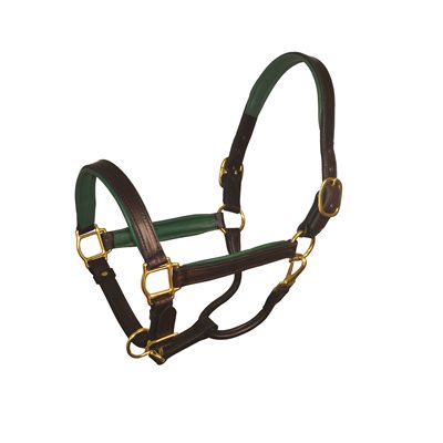 Perri's Padded Leather Halter - Havana/Hunter Green