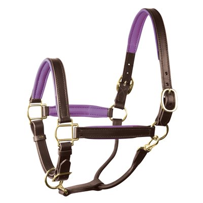 Perri's Padded Leather Halter - Havana/Purple