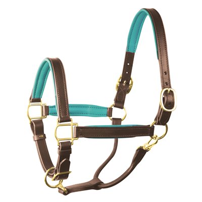 Perri's Padded Leather Halter - Havana/Turquoise