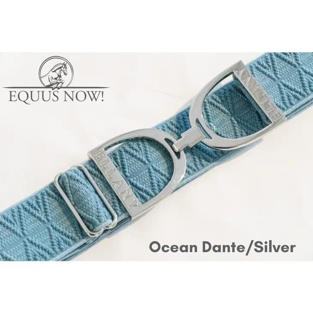 Ellany Stirrup Irons Elastic Belt - Ocean Dante/Silver