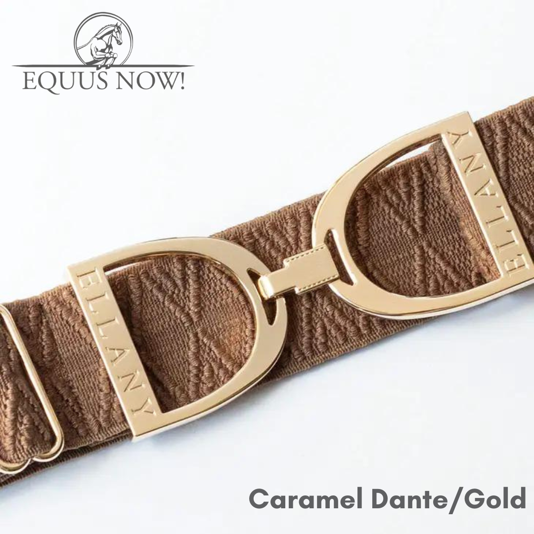 Ellany Stirrup Irons Elastic Belt - Carmel Dante/Gold