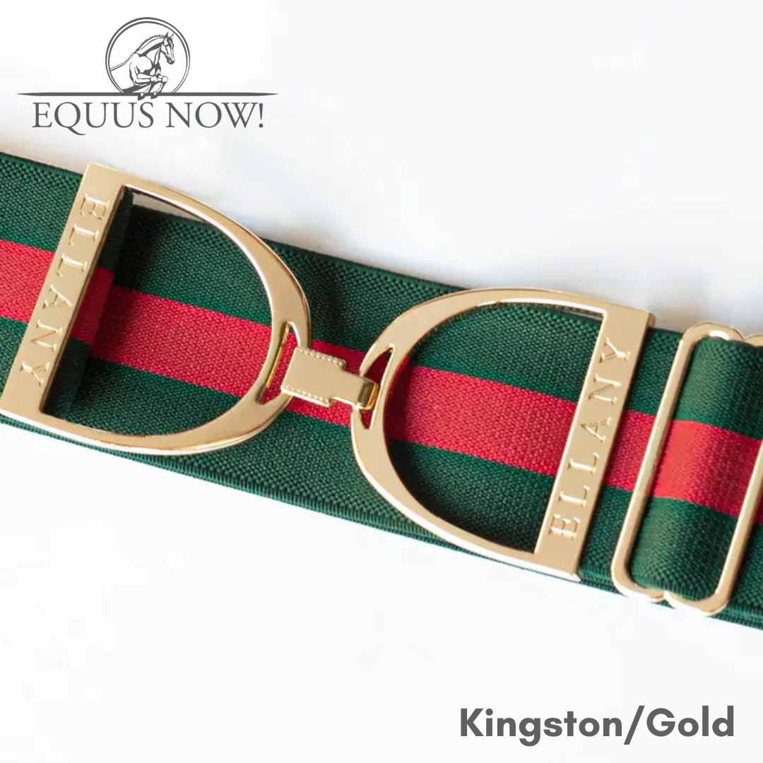 Ellany Stirrup Irons Elastic Belt - Kingston/Gold