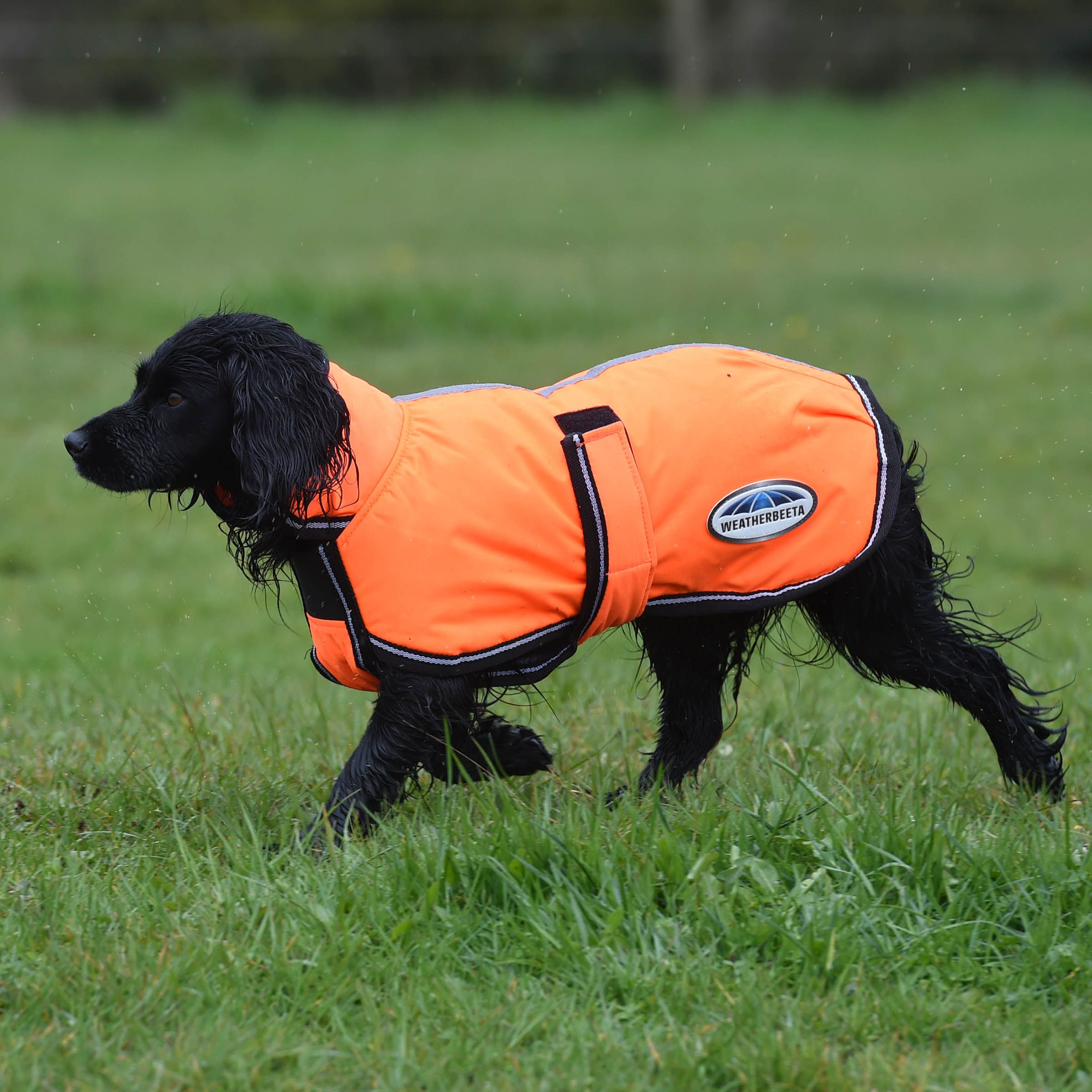 WeatherBeeta ComFiTec Reflective Parka 300D Dog Coat - Orange