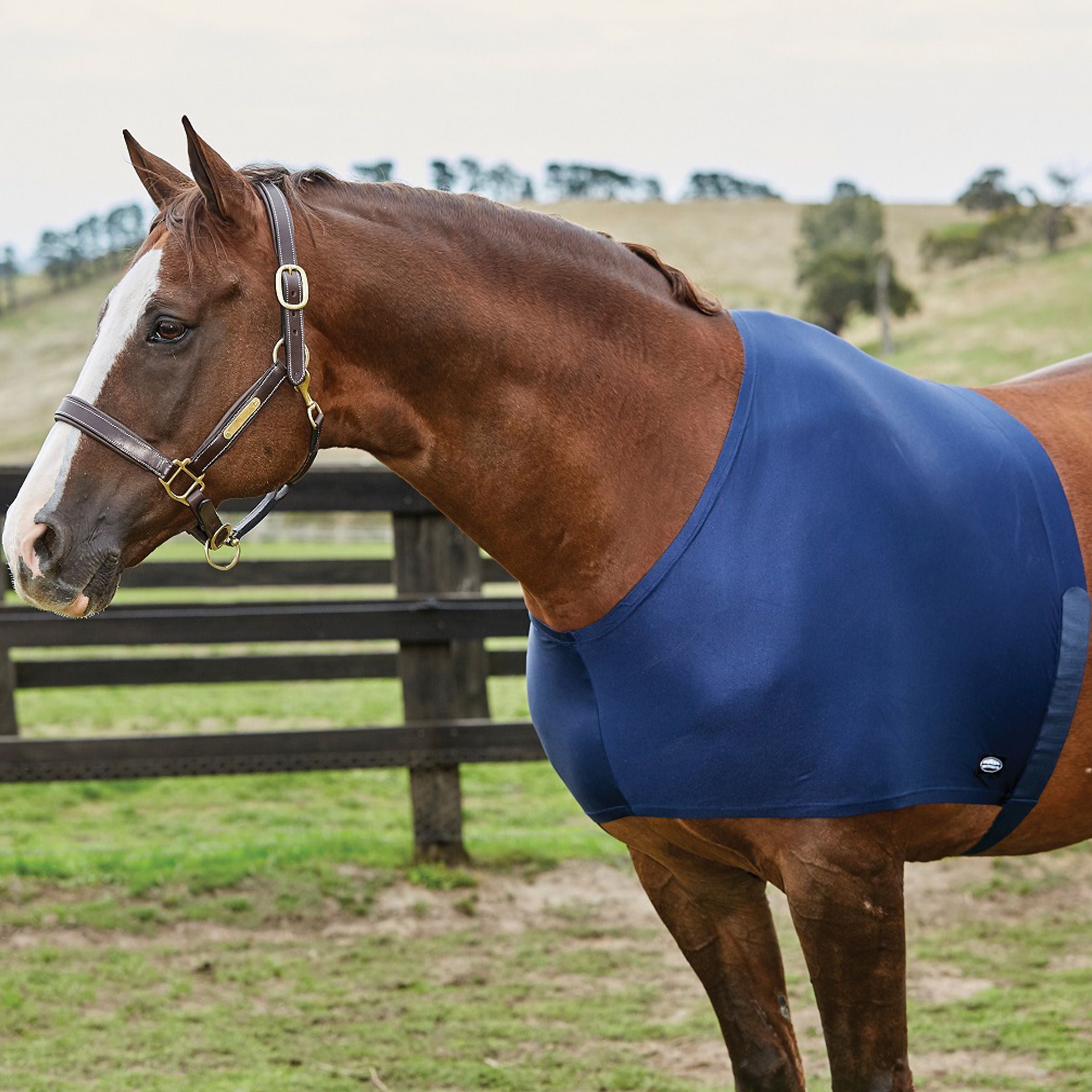 WeatherBeeta Stretch Shoulder Guard - Navy