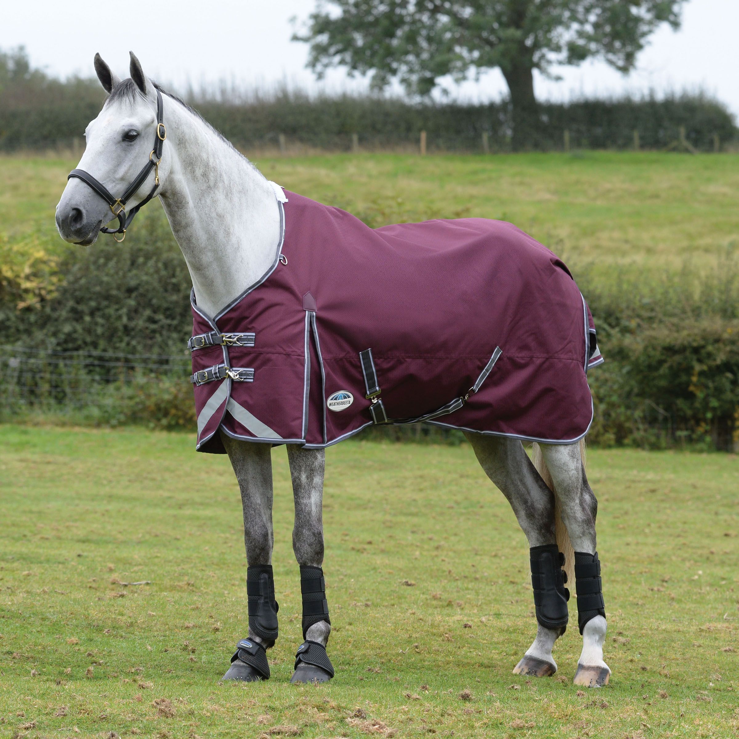 WeatherBeeta ComFiTec Plus Dynamic II Standard Neck Turnout Blanket  - Medium/Lite 100g - Maroon/Grey/White