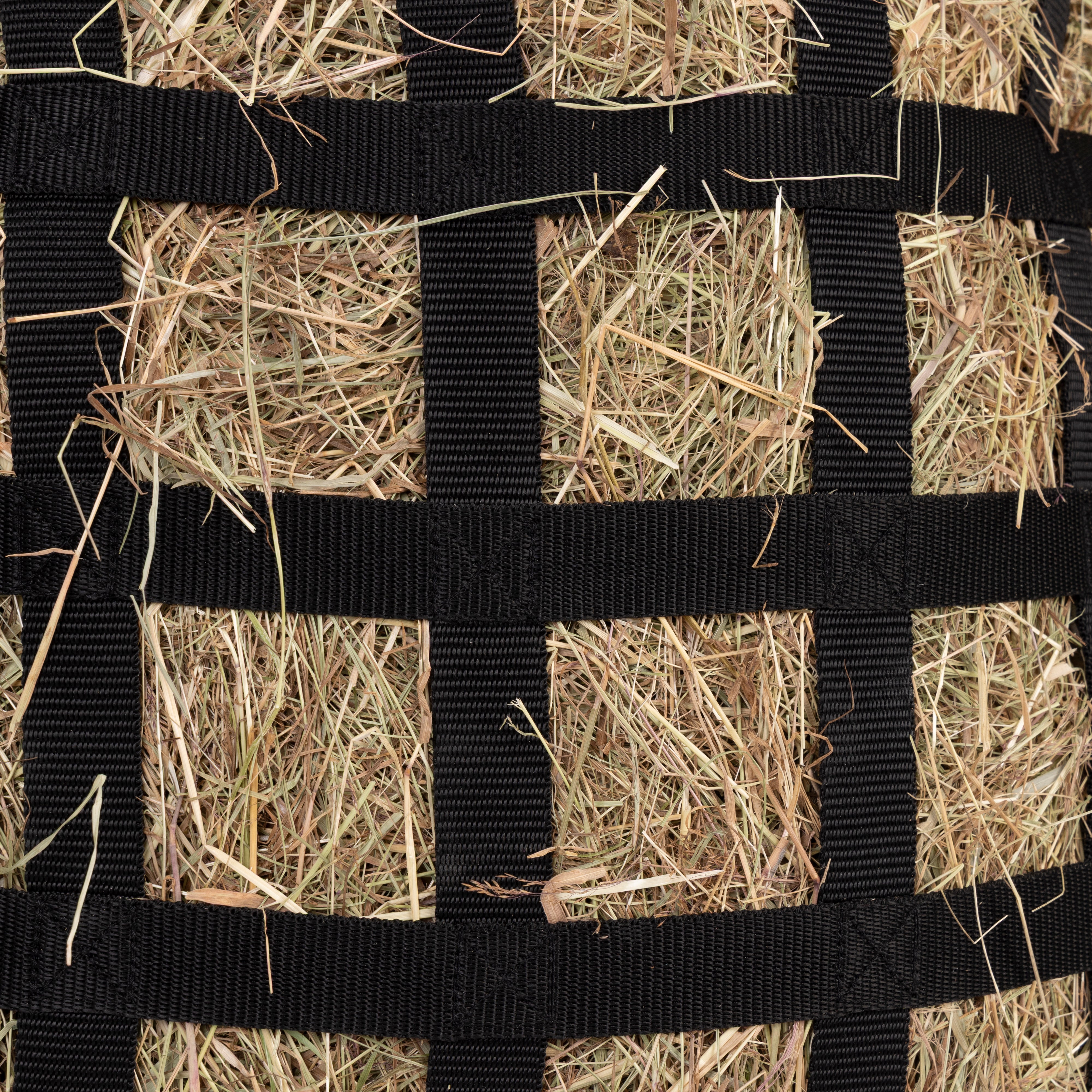 FreeGraze Deluxe Web Front Hay Bag