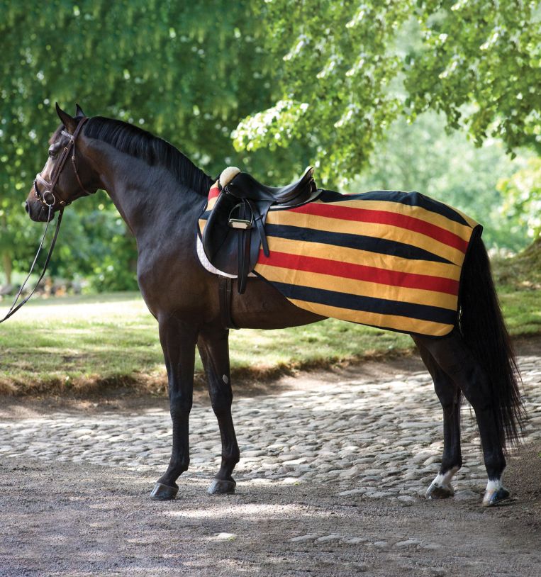 Horseware Rambo Competition Sheet - Witney Stripes - Gold